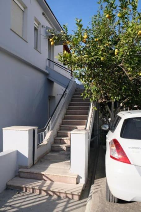 Bayside Apt.